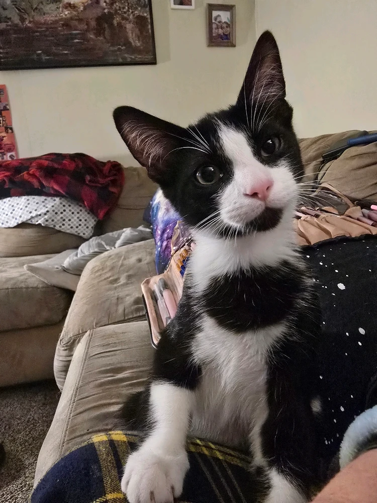 Image uploaded by Katie