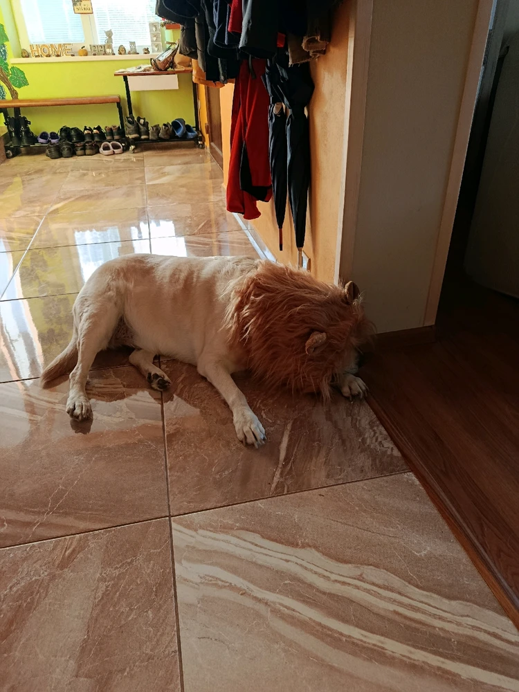 Fotku nahral/-a Richard