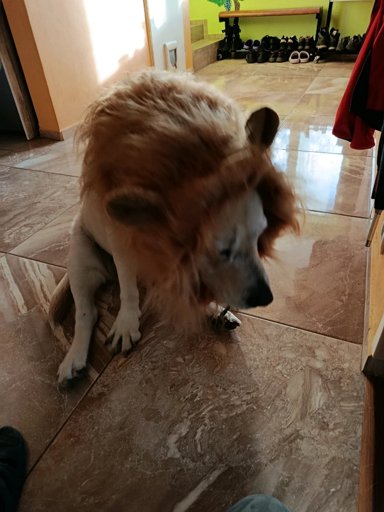 Fotku nahral/-a Richard