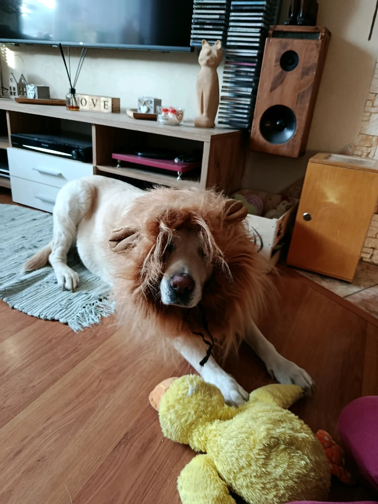 Fotku nahral/-a Richard