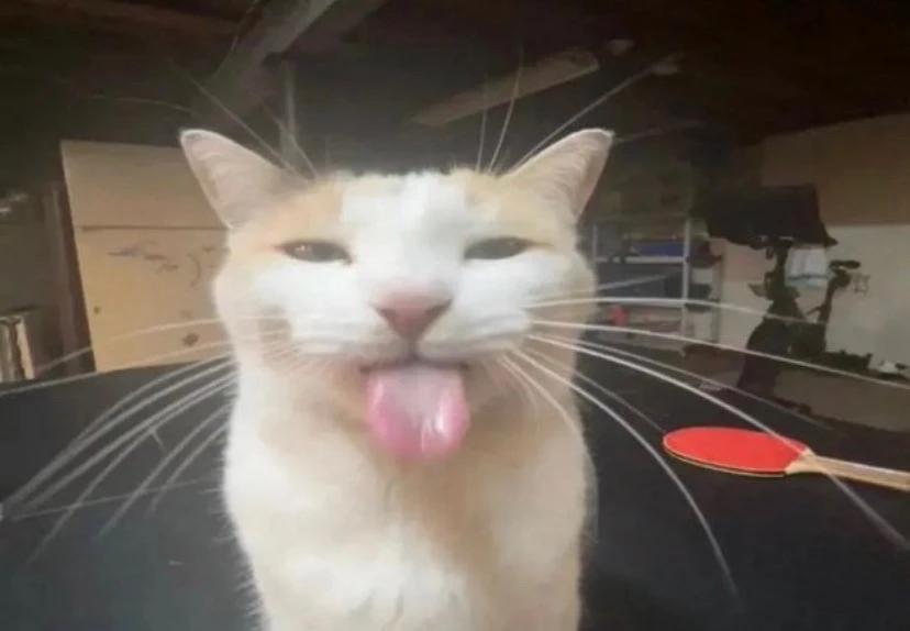 GIF uploaded by Daisy