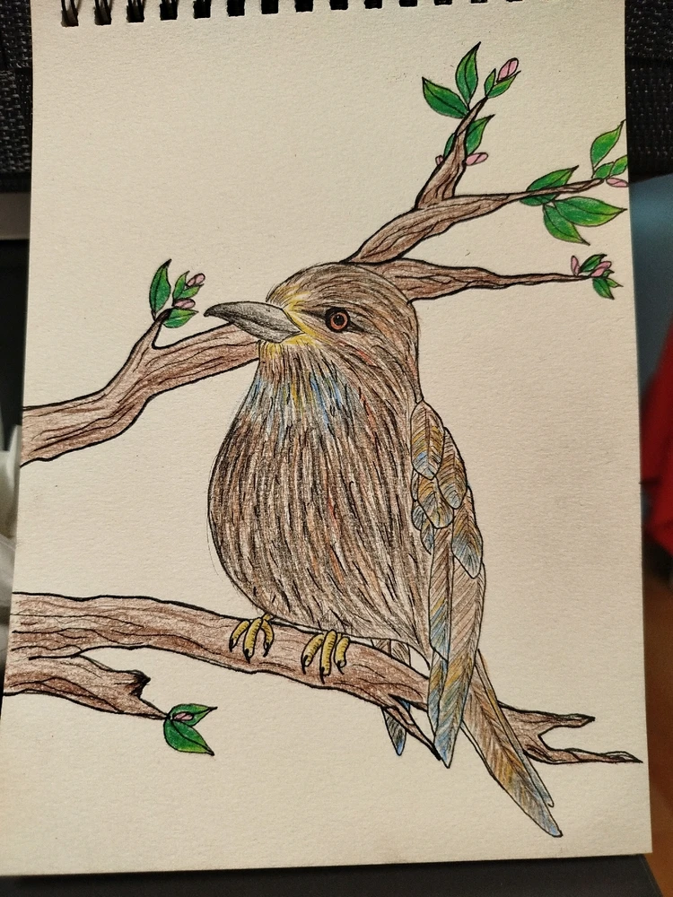 Bild hochgeladen von Bella