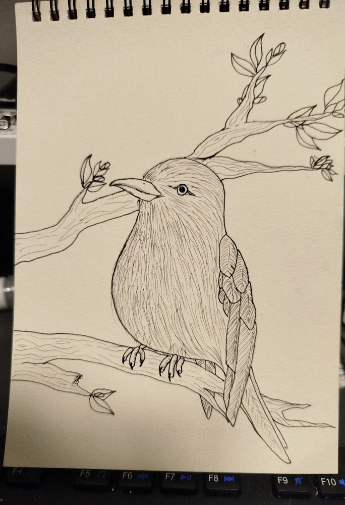 Bild hochgeladen von Bella