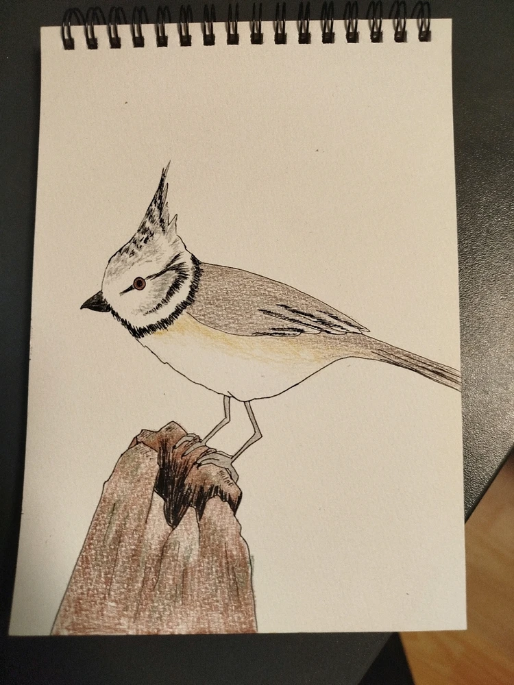 Bild hochgeladen von Bella