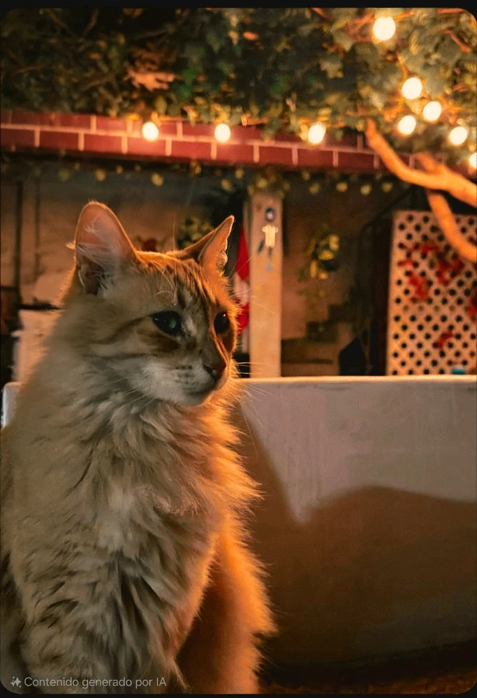 GIF subido por Oskar