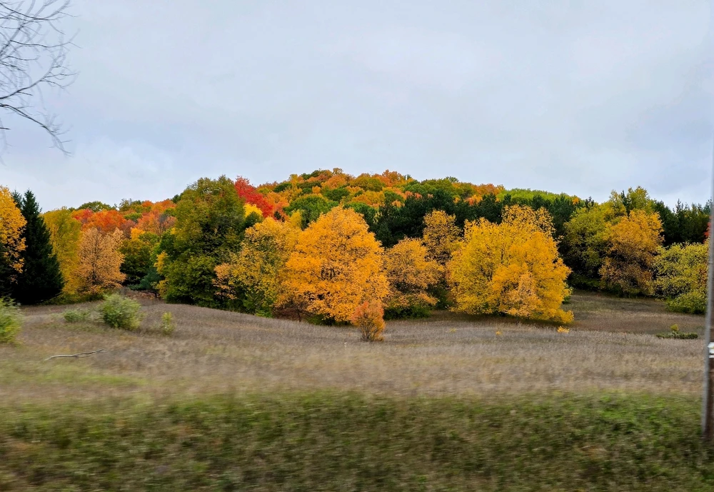 Image uploaded by Jason