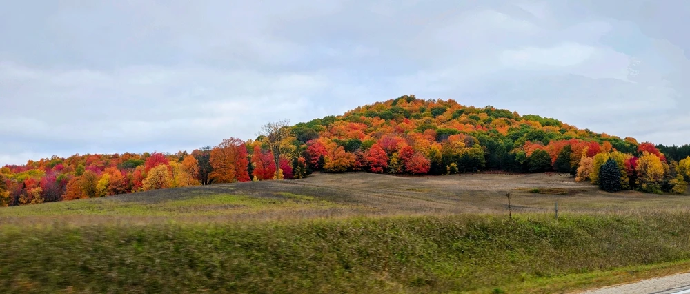 Image uploaded by Jason