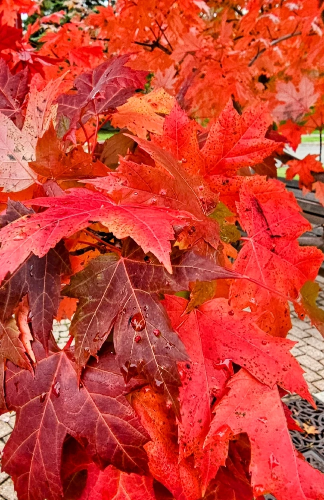 Image uploaded by Jason