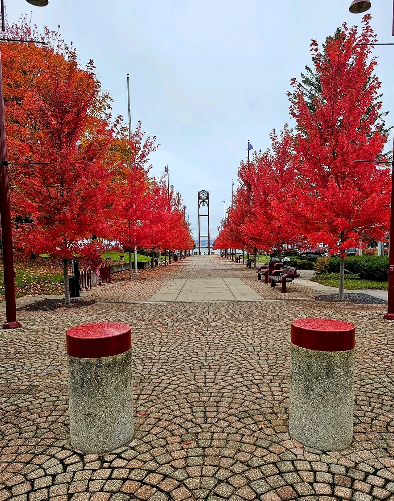 Image uploaded by Jason