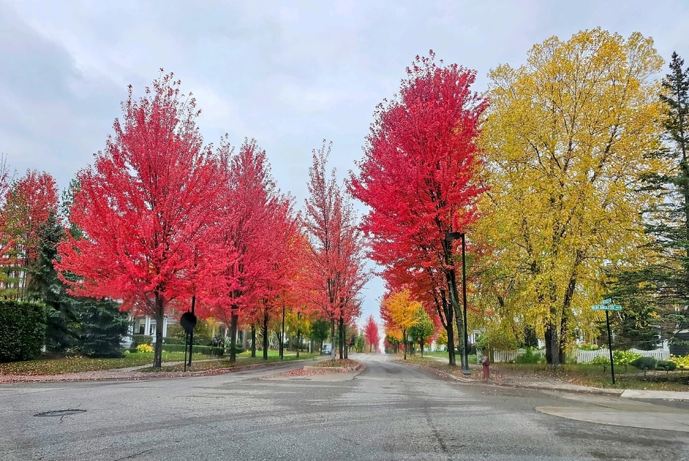 Image uploaded by Jason