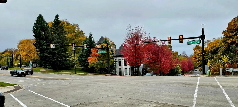 Image uploaded by Jason