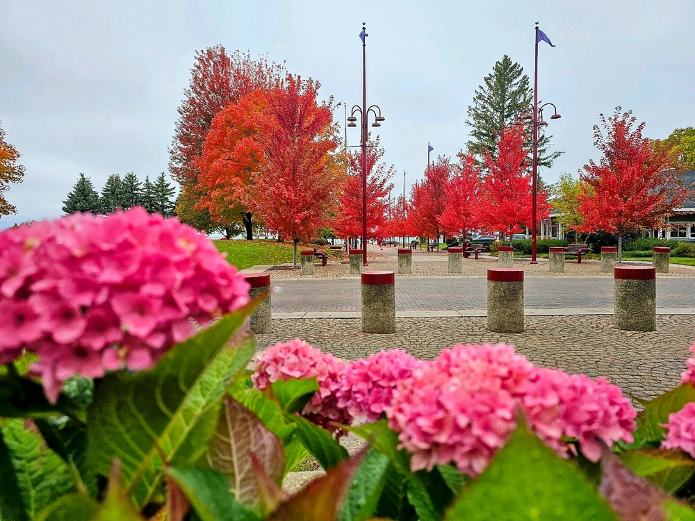 Image uploaded by Jason