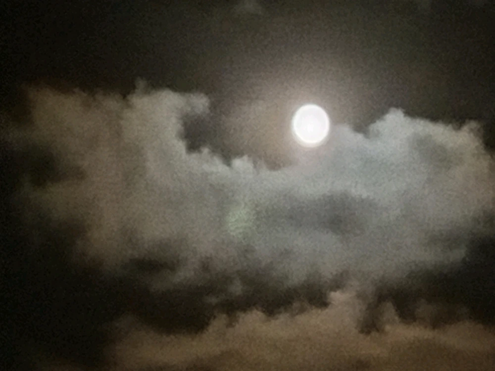 GIF uploaded by Misha