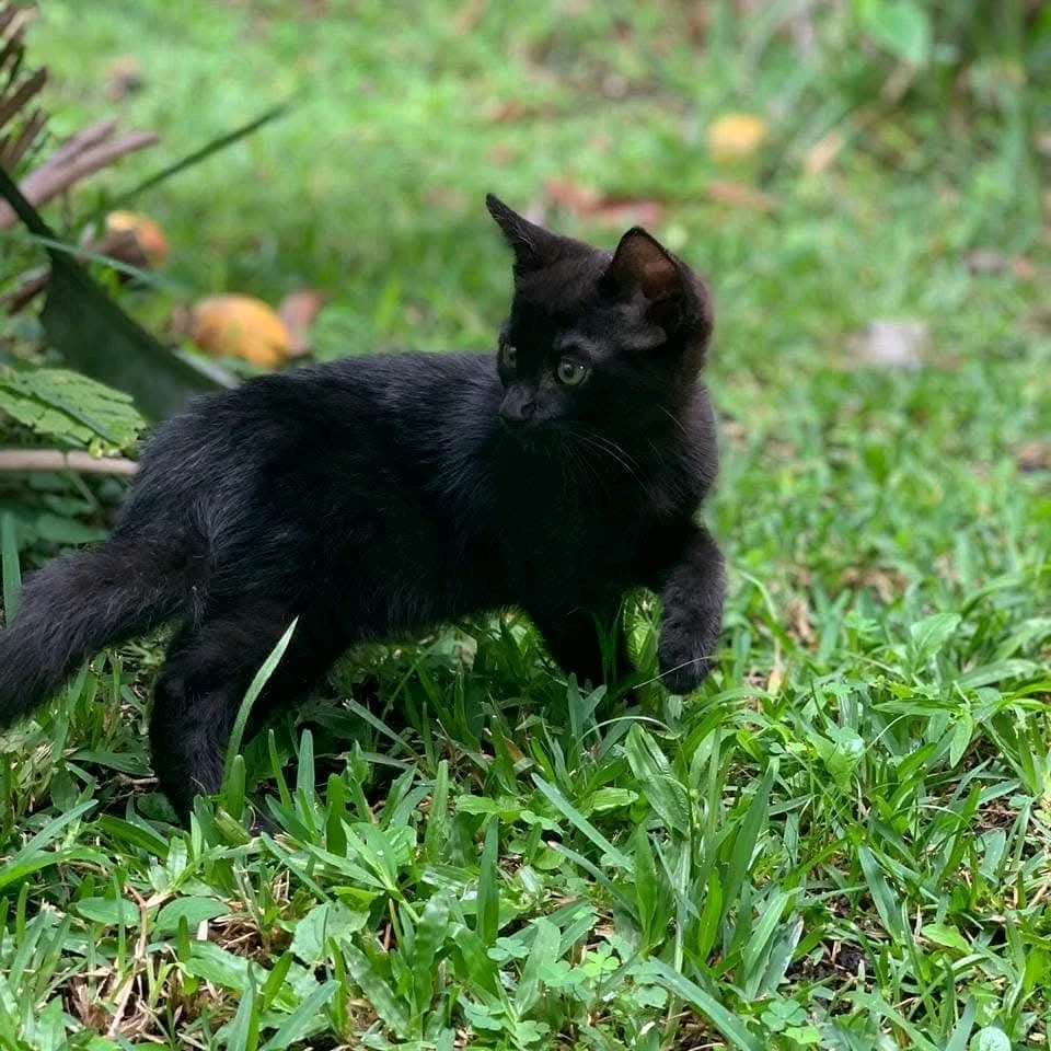 GIF uploaded by Gabriel