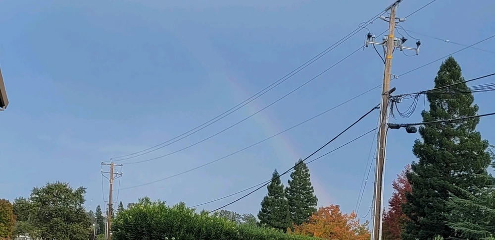 GIF uploaded by Adorable Dork