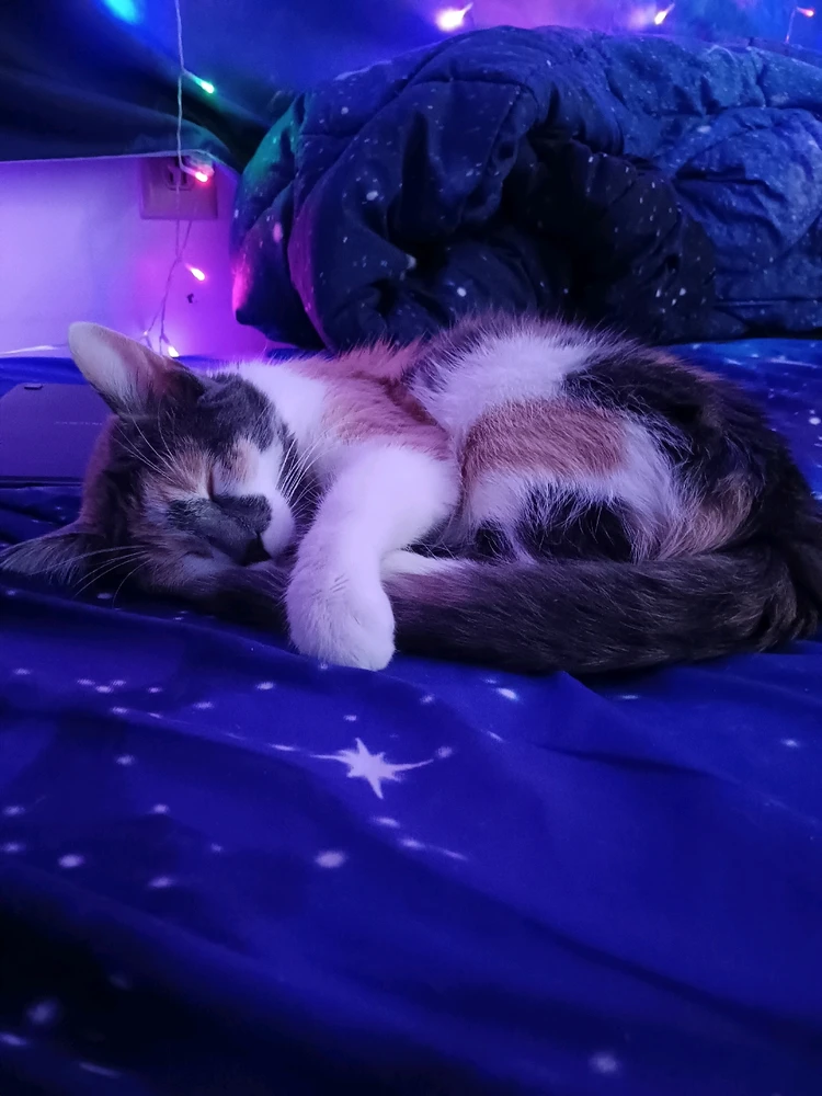 GIF uploaded by Peggy 🐚 🐌