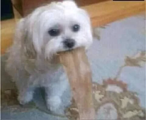 GIF subido por Antonio