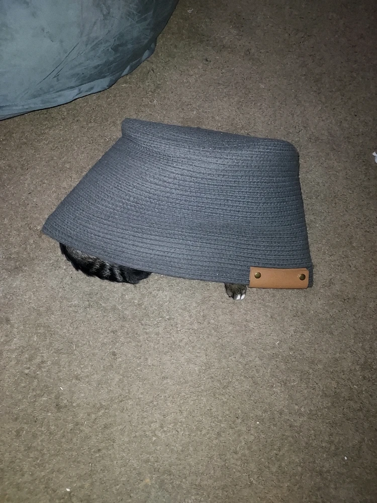 Gambar diunggah dening Steven