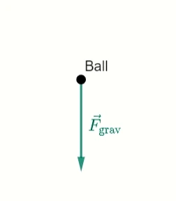 Fun fact (Only 0.01% of people know this)