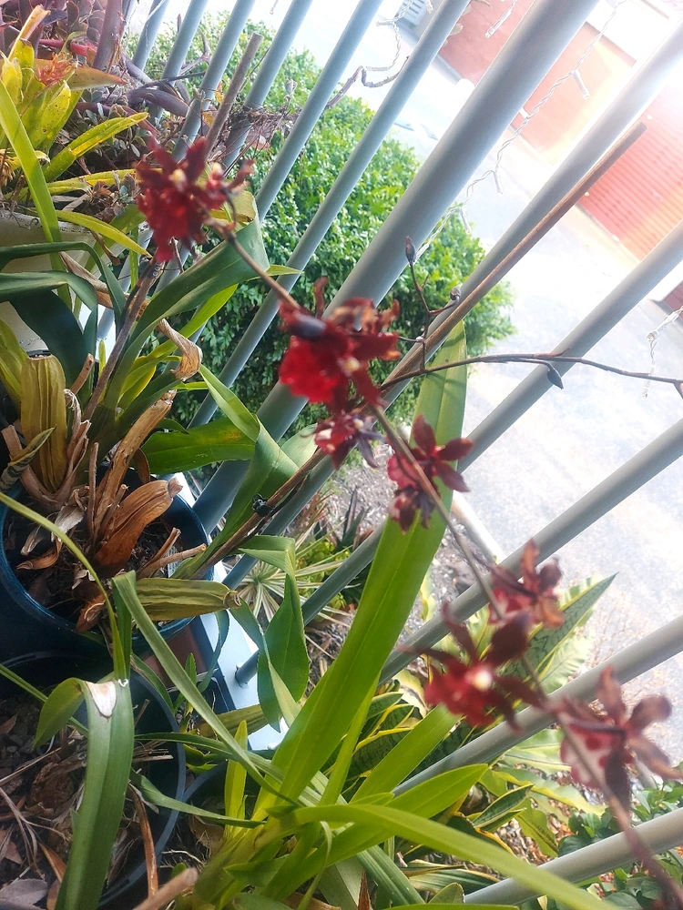 GIF uploaded by Scott