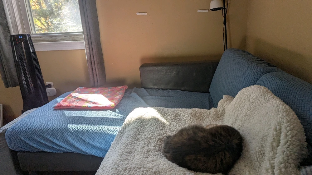 Her throne with space heater.