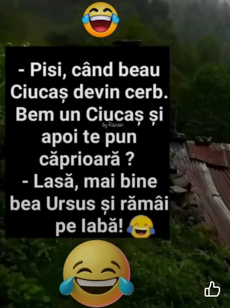 GIF încărcat de AngelNyky