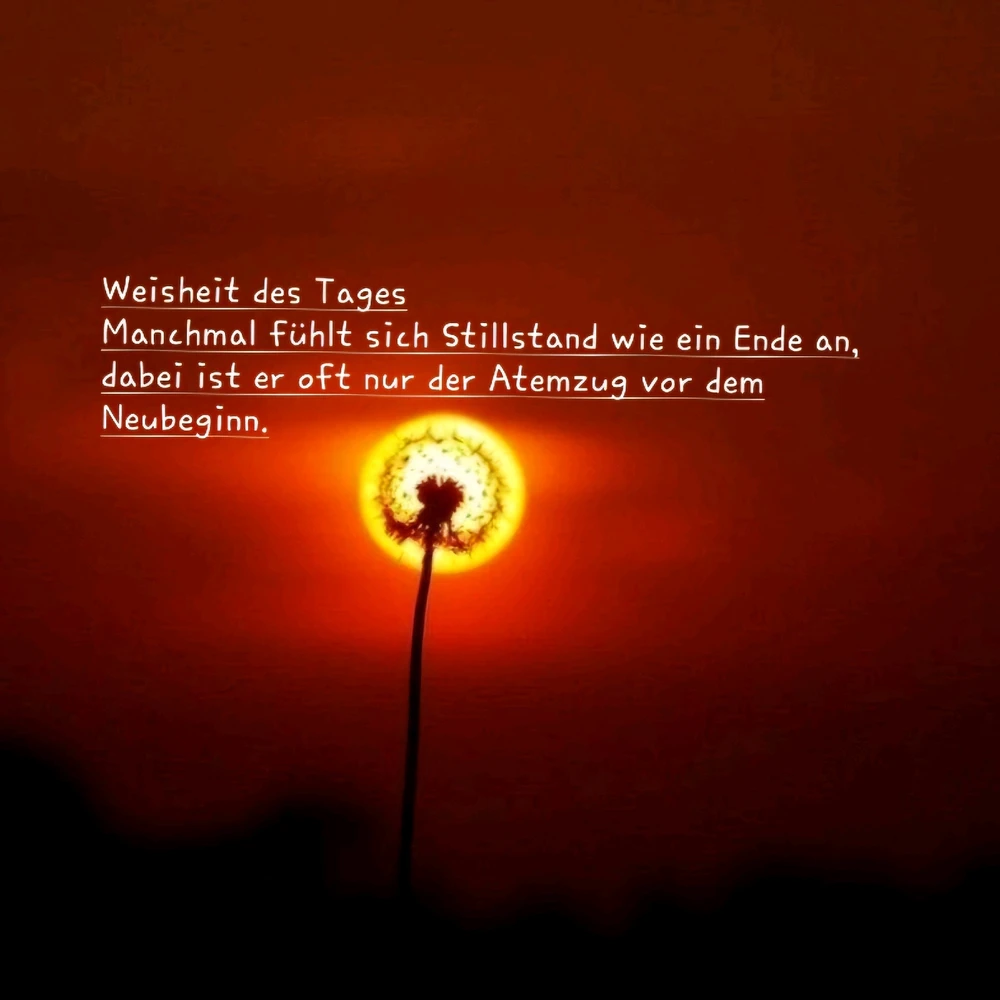 Heutiger Einblick beim Spaziergang