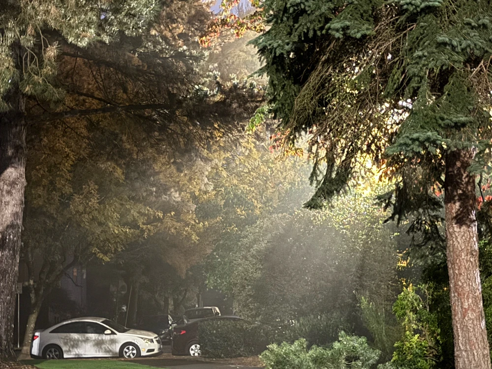 GIF uploaded by Stephen