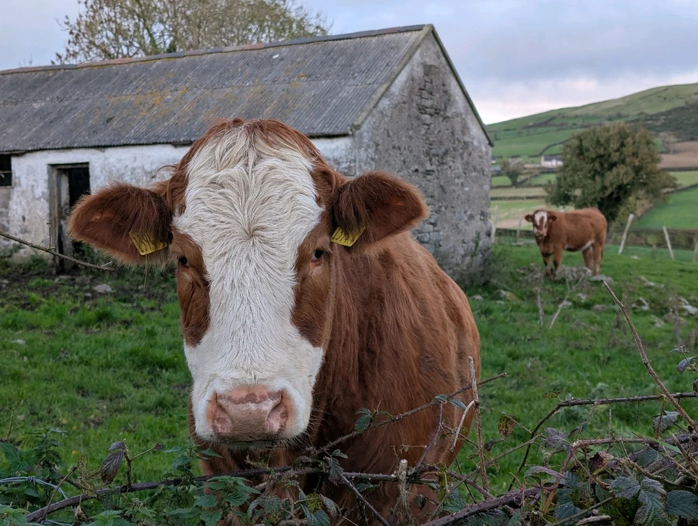 GIF uploaded by Graeme