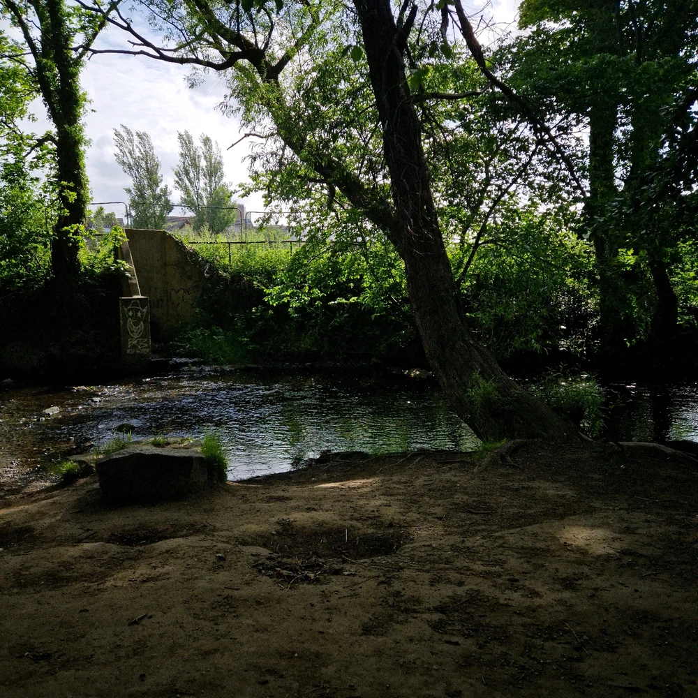 Image uploaded by Leo