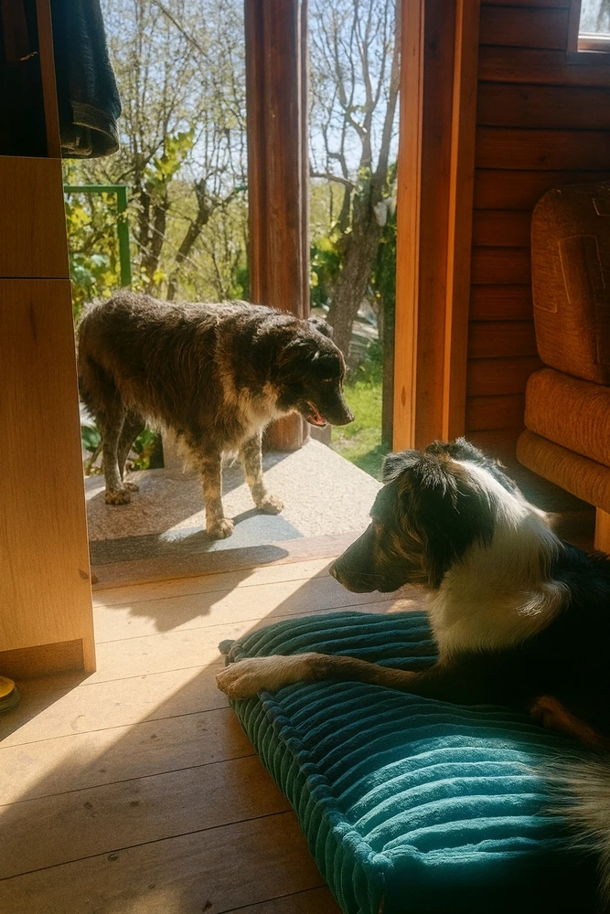 Fotku nahral/-a Martin