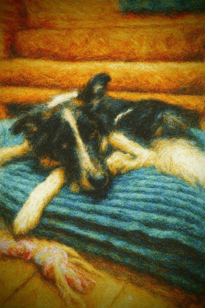 Fotku nahral/-a Martin