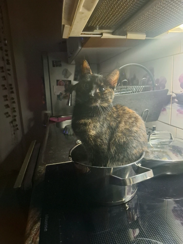 GIF dodany przez Natalka