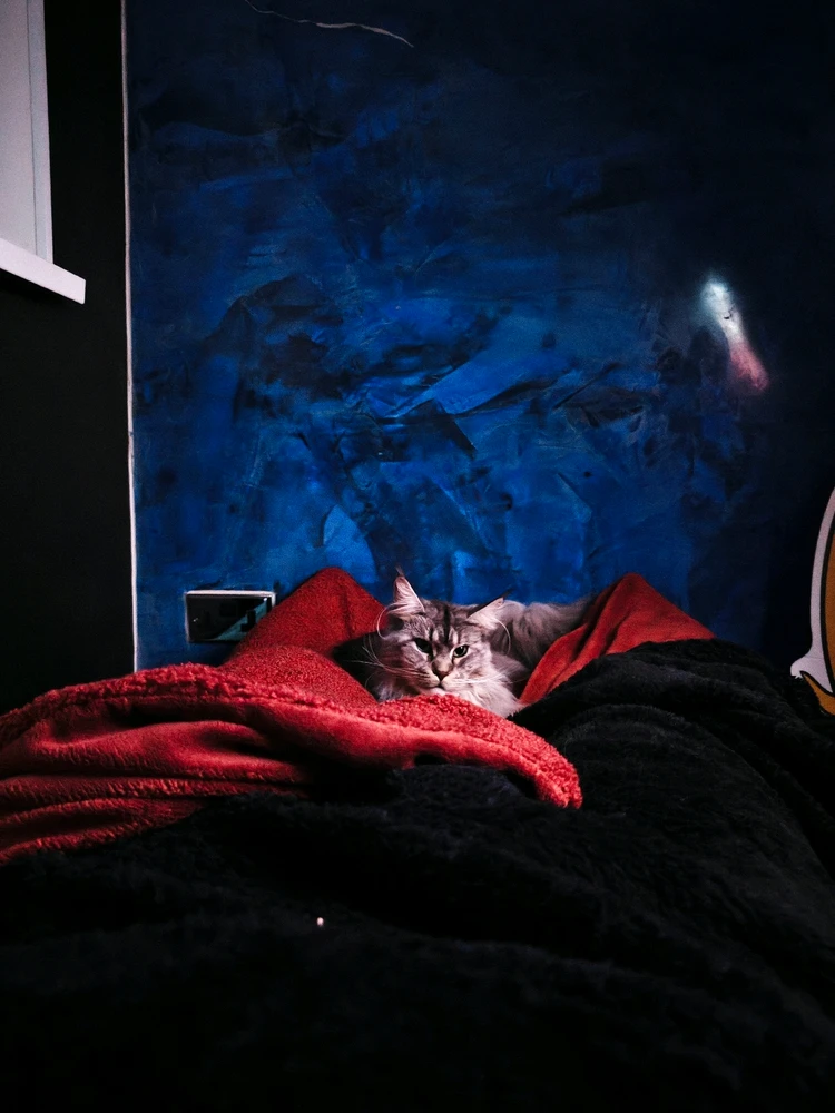 Evening Chillout with Aurora