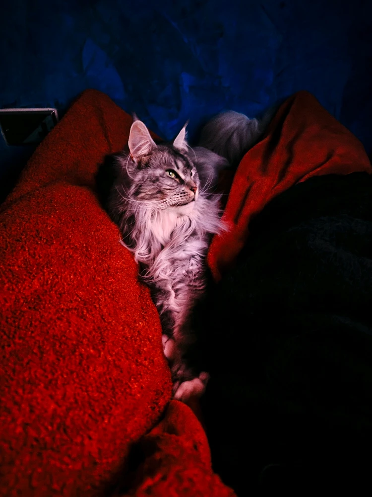 Evening Chillout with Aurora