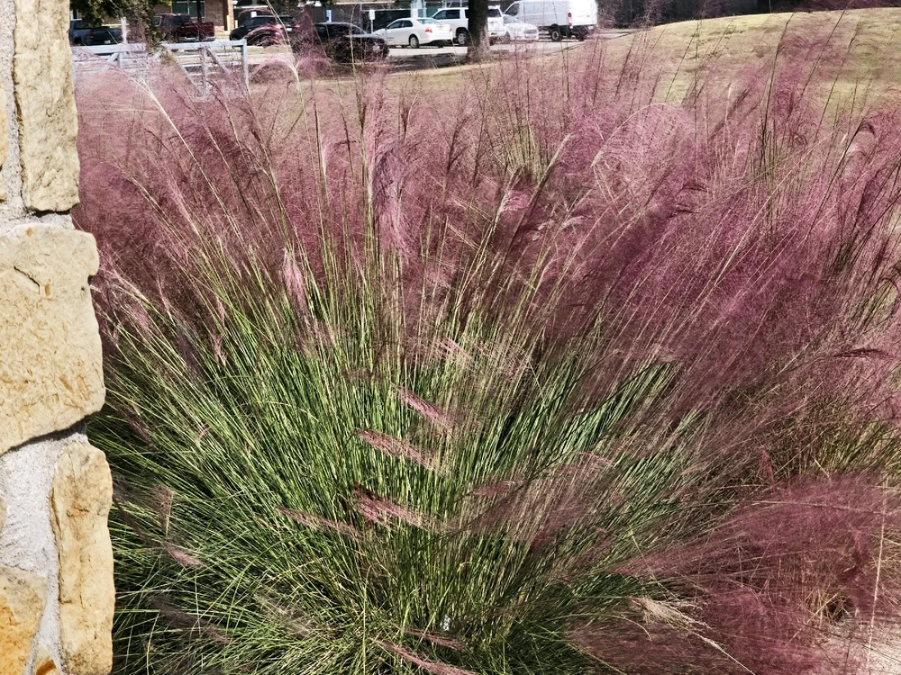 Image uploaded by Charles Day