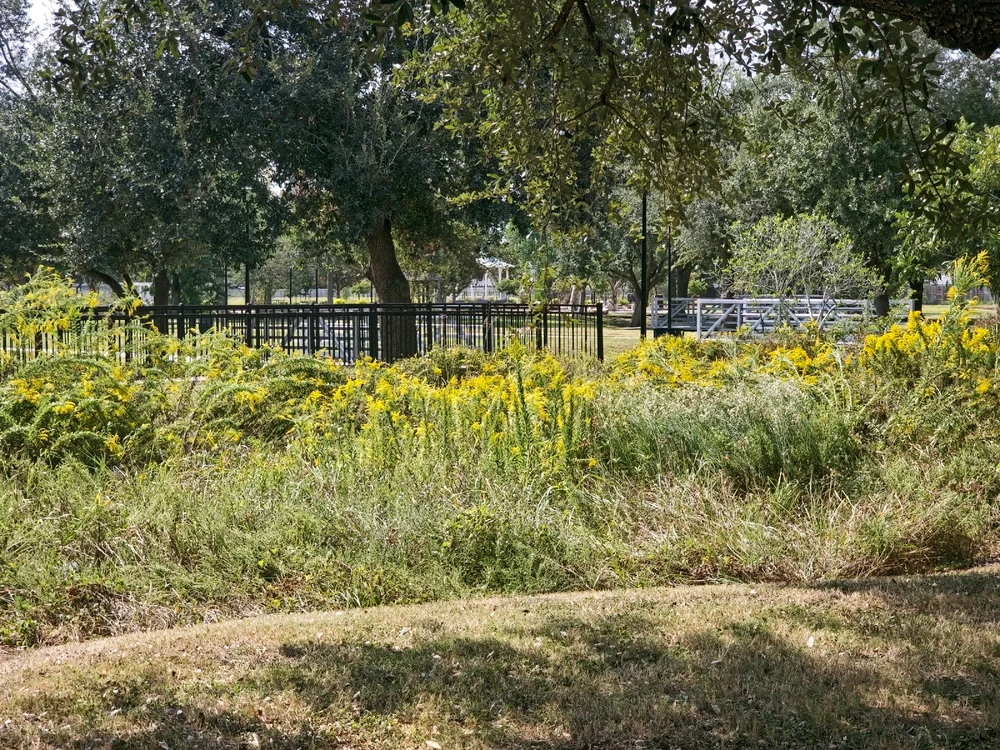 Image uploaded by Charles Day