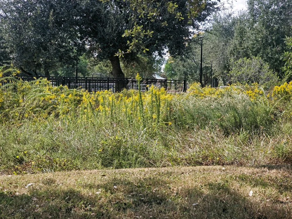 Image uploaded by Charles Day