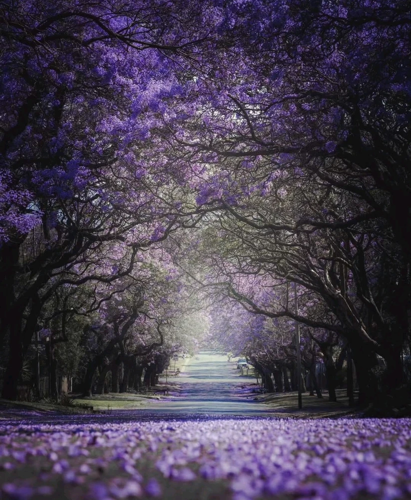 GIF uploaded by Adonis