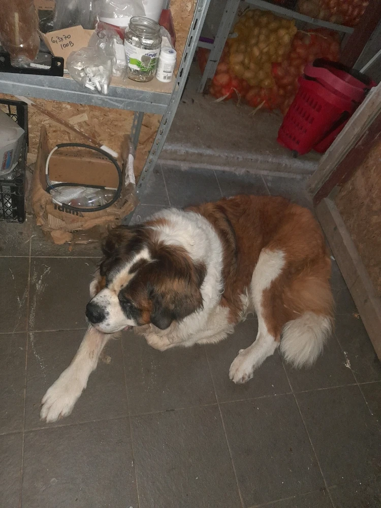 GIF încărcat de Gabriel