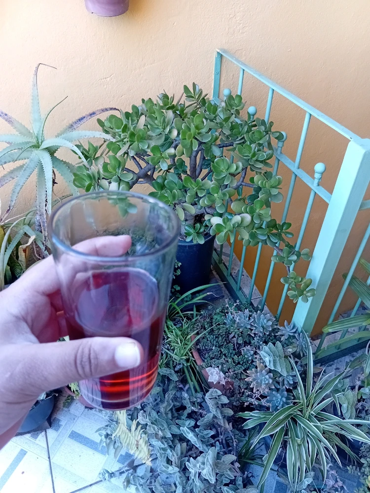 Having a rosé in a innapropriate glass 😭🍷