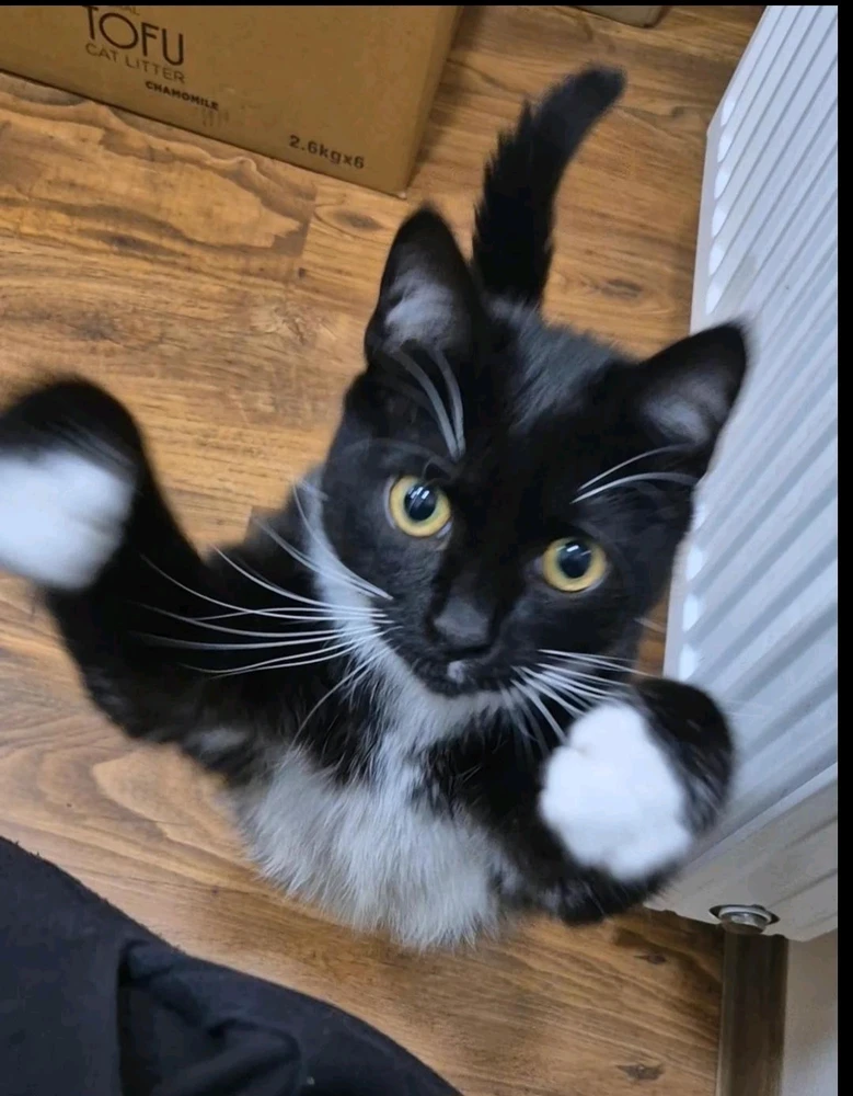 GIF įkėlė Aurimas