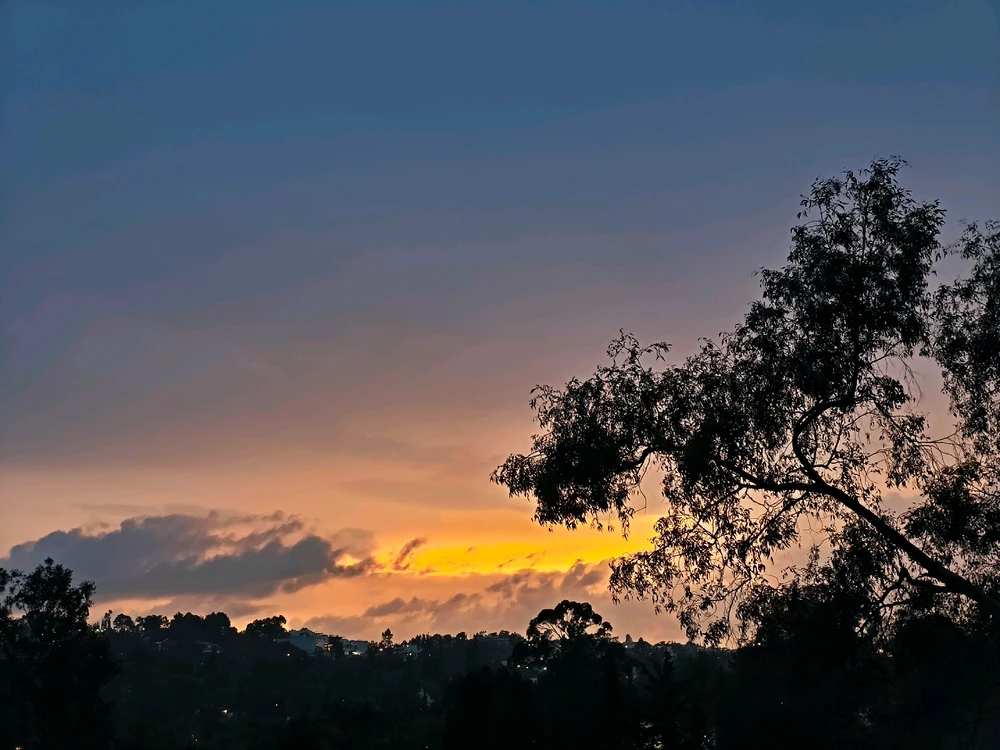 Bonne nuit les amis de Boo✨