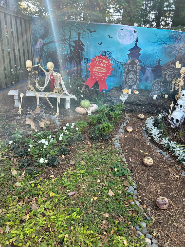 Gambar diunggah dening Jake