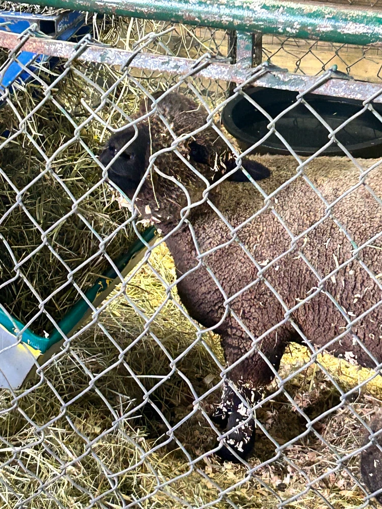 Gambar diunggah dening Jake