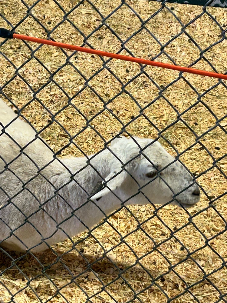 Gambar diunggah dening Jake