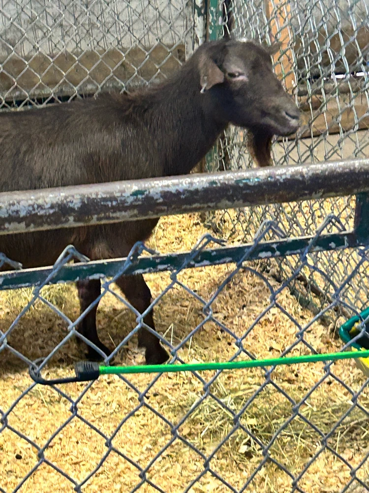 Gambar diunggah dening Jake