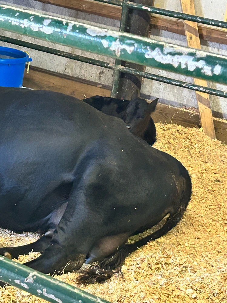 Gambar diunggah dening Jake