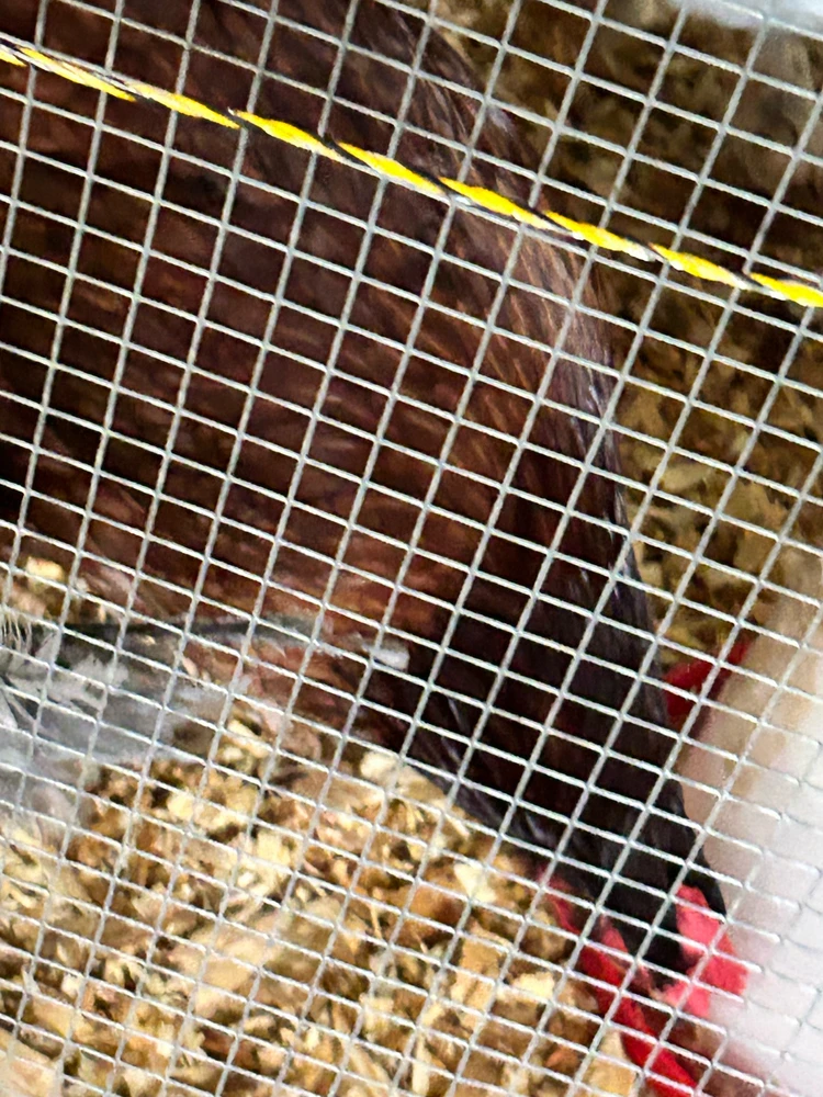 Gambar diunggah dening Jake