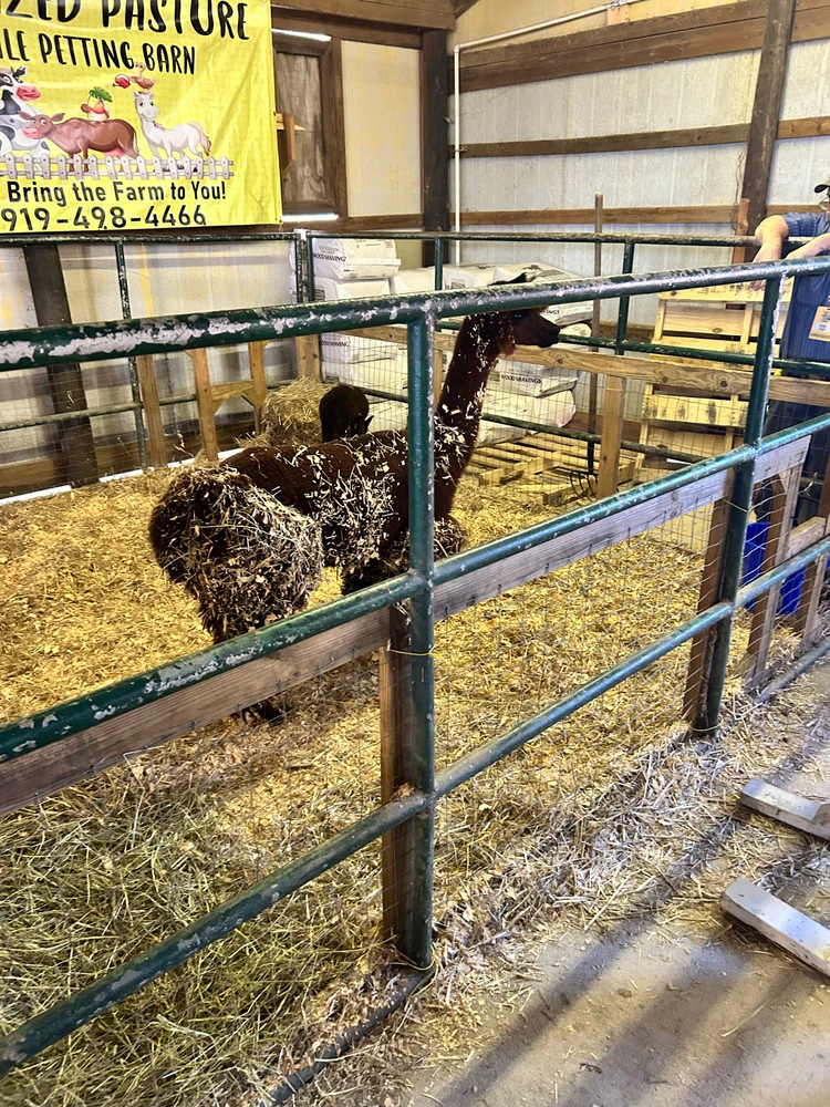 Gambar diunggah dening Jake